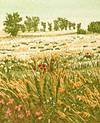 Still Ridge - Landscape Art by Jan Dingle - Printmaker